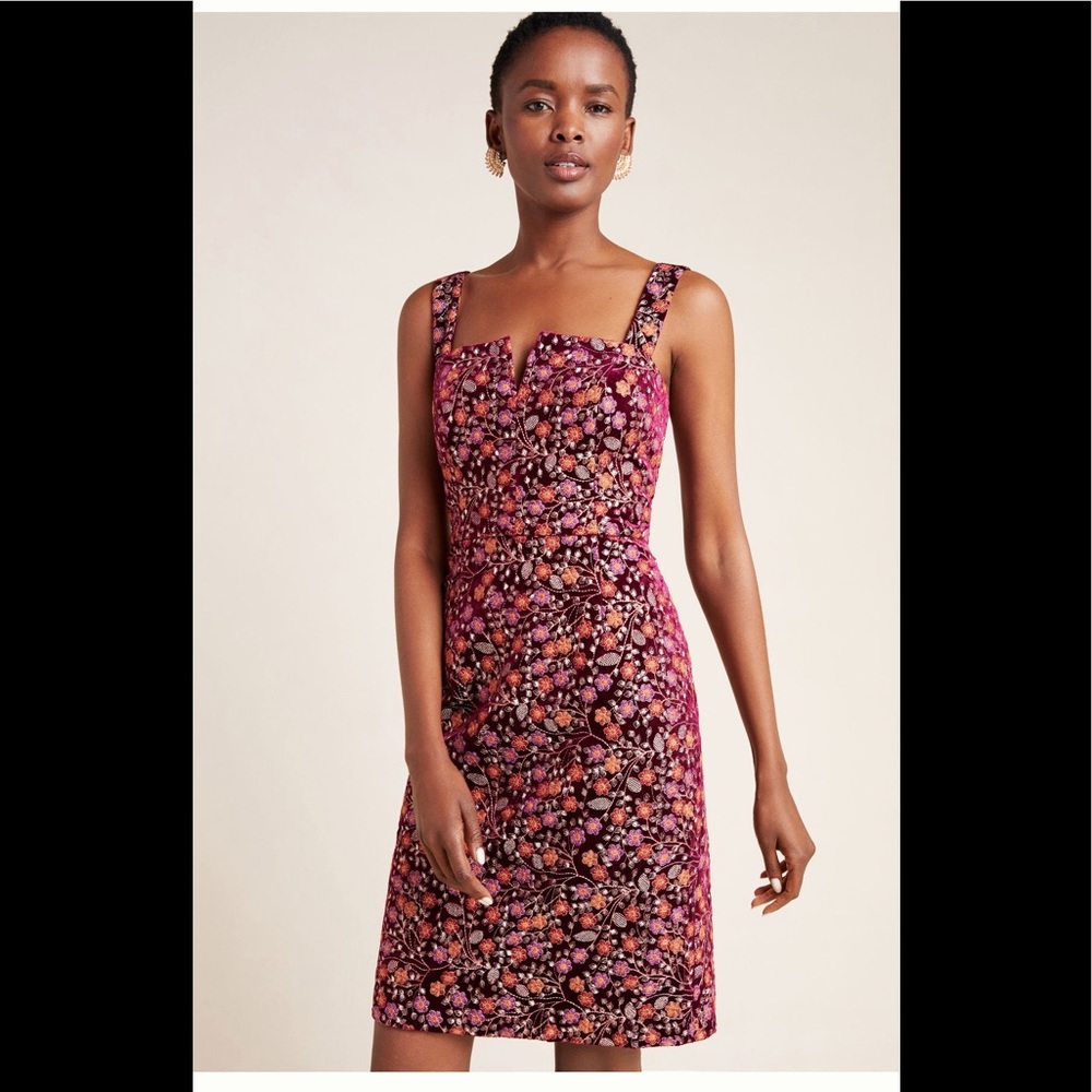 Anthropologie *RARE* Jaz embroidered Mini